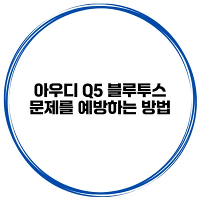아우디 Q5 블루투스 문제를 예방하는 방법