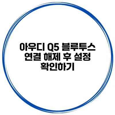 아우디 Q5 블루투스 연결 해제 후 설정 확인하기