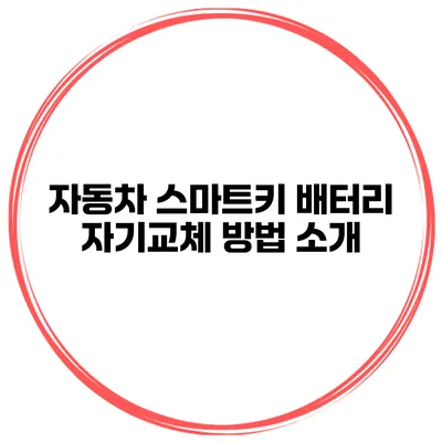 자동차 스마트키 배터리 자기교체 방법 소개
