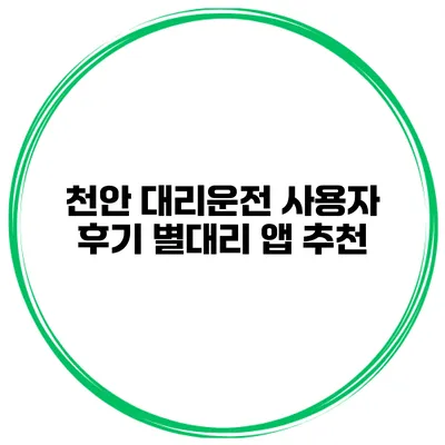 천안 대리운전 사용자 후기 별대리 앱 추천