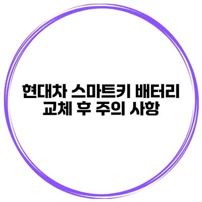 현대차 스마트키 배터리 교체 후 주의 사항
